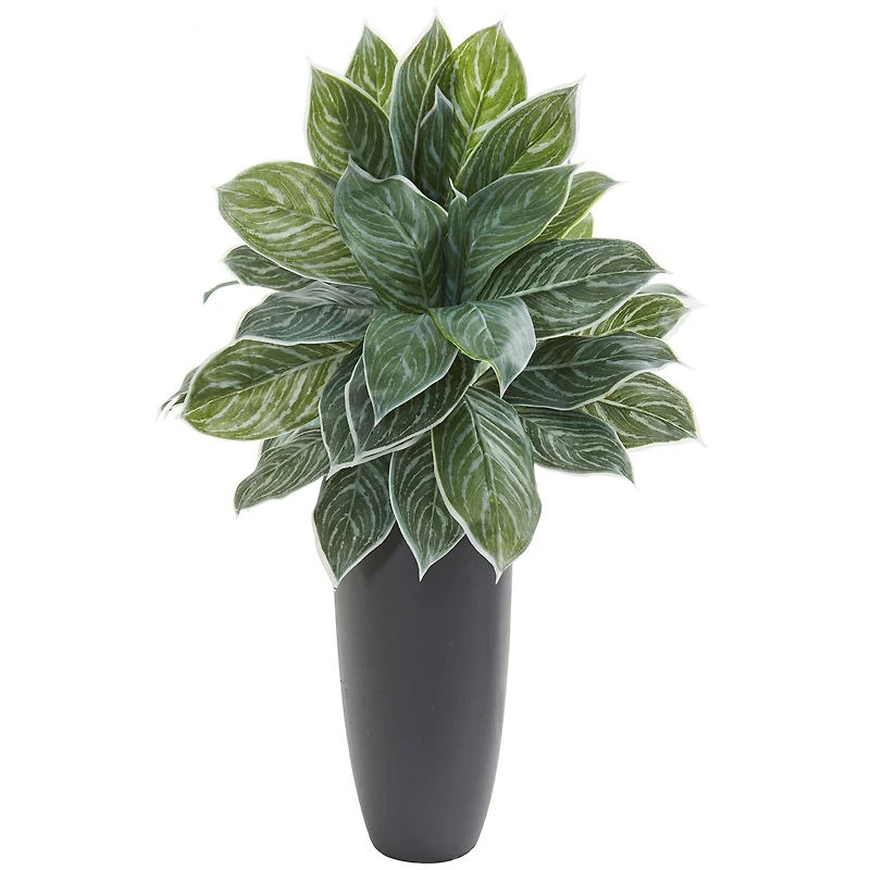 3ft. Real Touch™ Chinese Evergreen Plant in Tall Black Planter