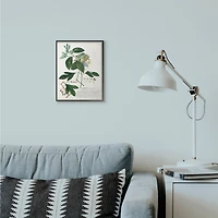 Stupell Industries Botanical Green Plant Illustration Framed Wall Art