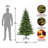 6ft. Pre-Lit Whatcom Pine Artificial Christmas Tree, Clear LED Lights