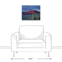 Field Of Cactus 20" x 16" Canvas Wall Art