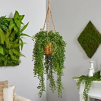 4.5ft. Honey Locust Plant Hanging Basket