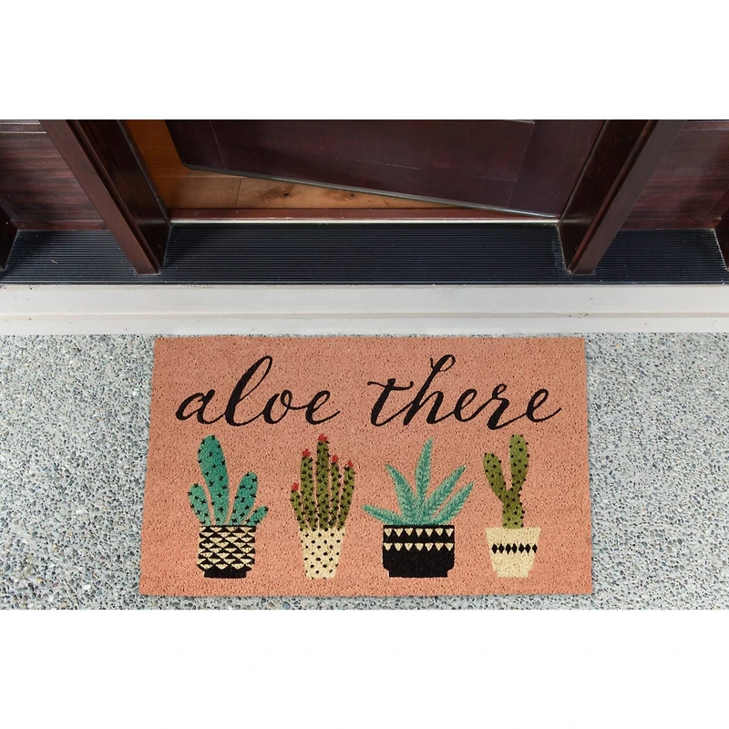DII® Aloe There Doormat