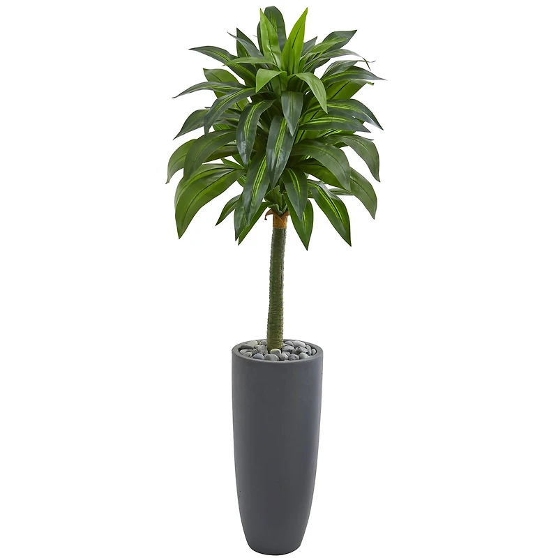 5ft. Dracaena Artificial Plant in Gray Planter