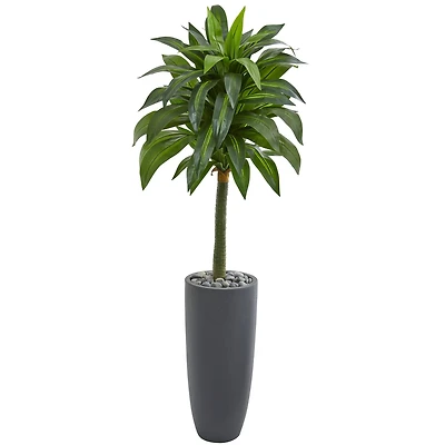 5ft. Dracaena Artificial Plant in Gray Planter