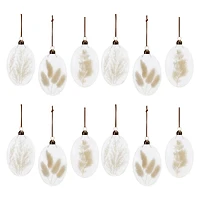 12 Pack 5.5" Natural Dried Floral Glass Ornaments