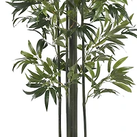 6ft. Potted Bamboo Silk Tree