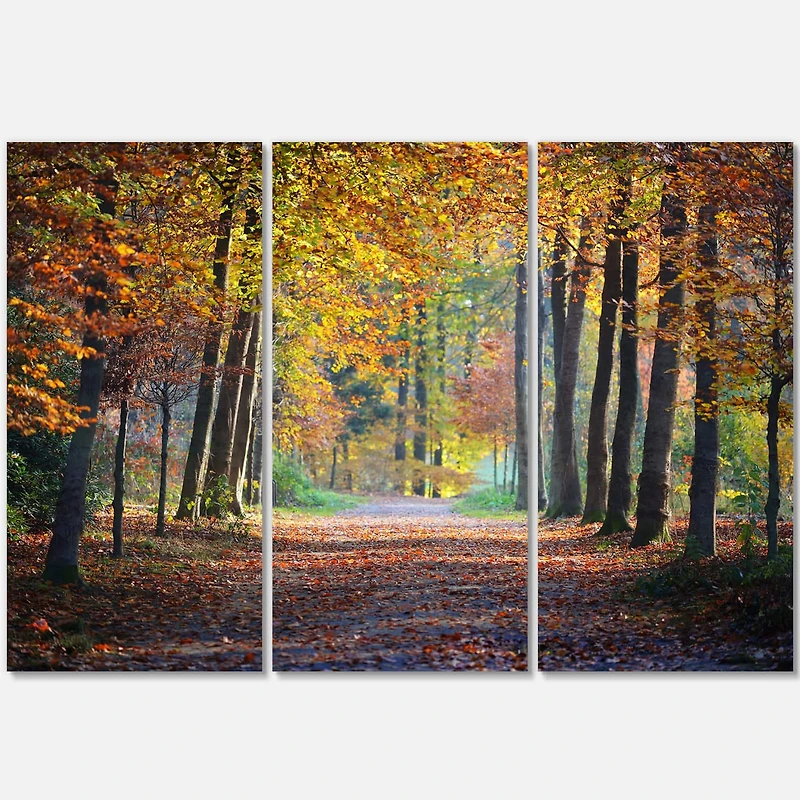Designart - Wide Pathway in Yellow Fall Forest