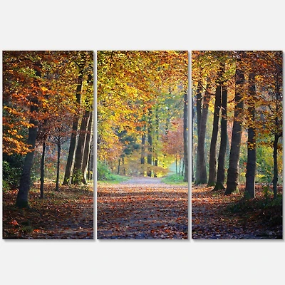 Designart - Wide Pathway in Yellow Fall Forest