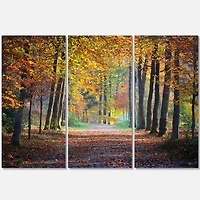 Designart - Wide Pathway in Yellow Fall Forest