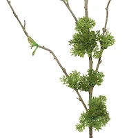 36" Moss Twig Stem by Ashland®