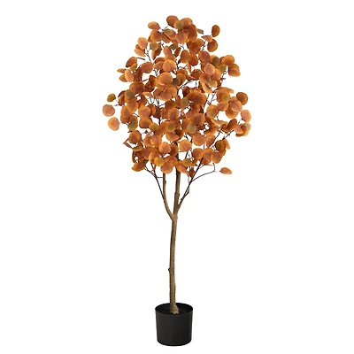 5ft. Potted Autumn Eucalyptus Tree