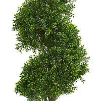 4ft. Potted Spiral Boxwood Tree