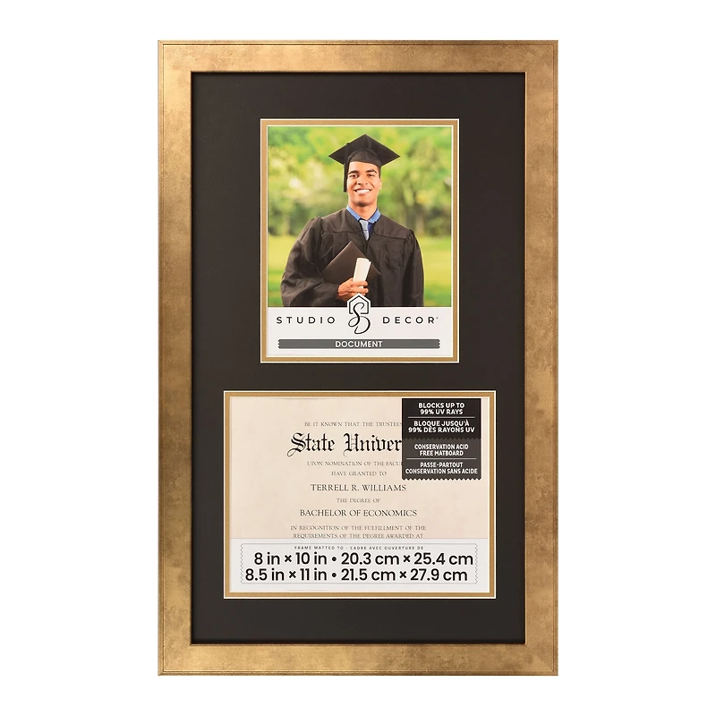 2 Opening 8.5" x 11" Gold Document Frame with Double Mat by Studio Décor®
