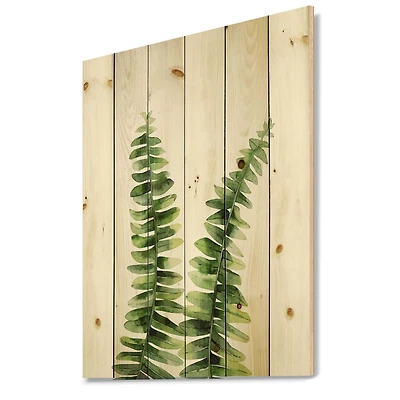 Designart - Fern Plant In Greenbotanical Detail