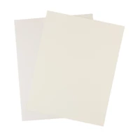 Shimmer Silver & Champagne 8.5" x 11" Cardstock Paper by Recollections®, 100 Sheets