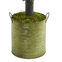 1.5ft. Boxwood Ball Topiary Tree in Green Tin