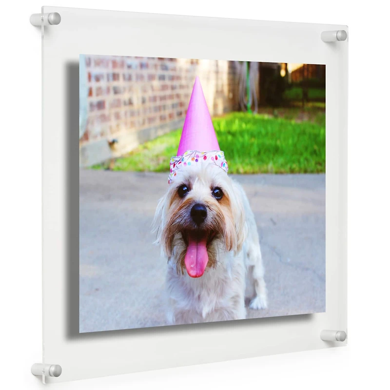 Cool Modern Frames Clear Acrylic Float Frame with Silver Hardware