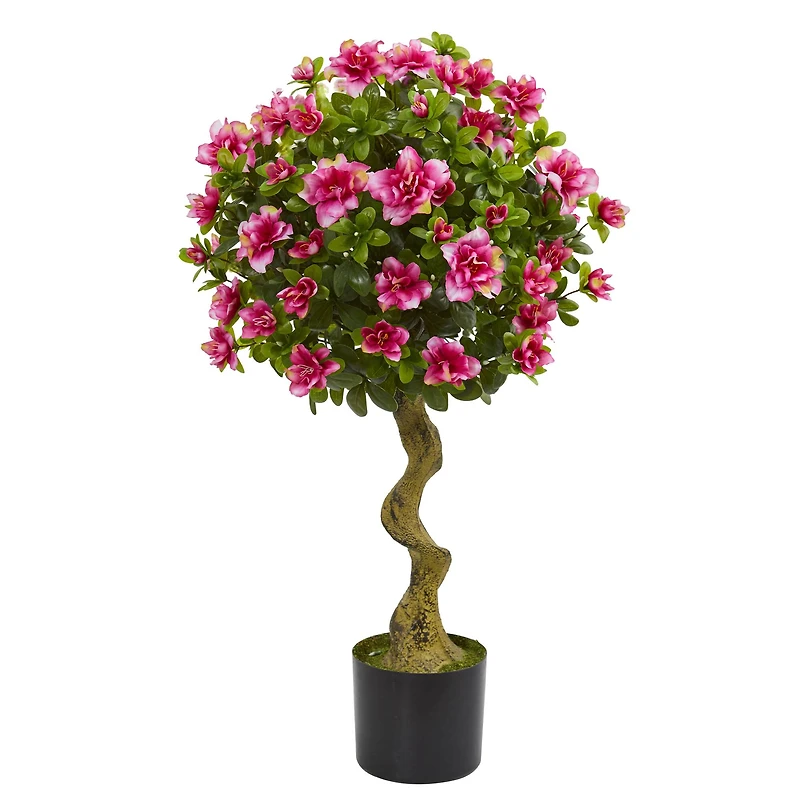 3ft. Potted Pink Azalea Topiary Tree