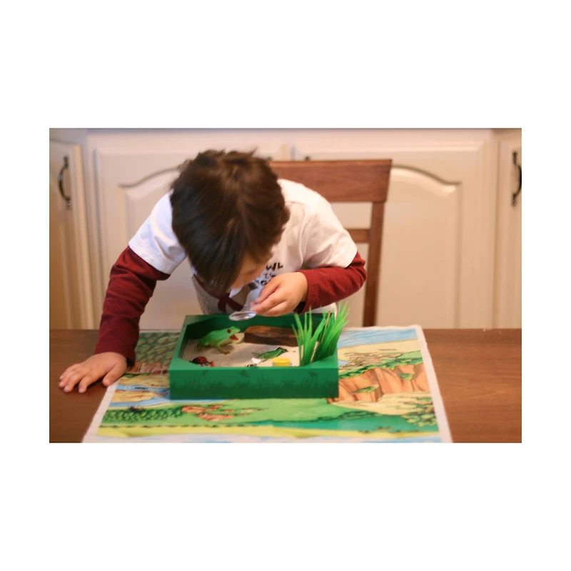 My Little Sandbox - Bug's World