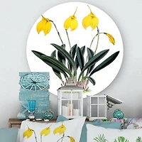 Designart - Retro Orchid Flowers