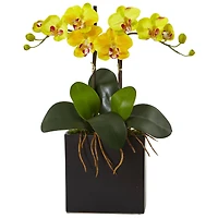 18.5" Double Mini Phalaenopsis Silk Orchid in Black Vase