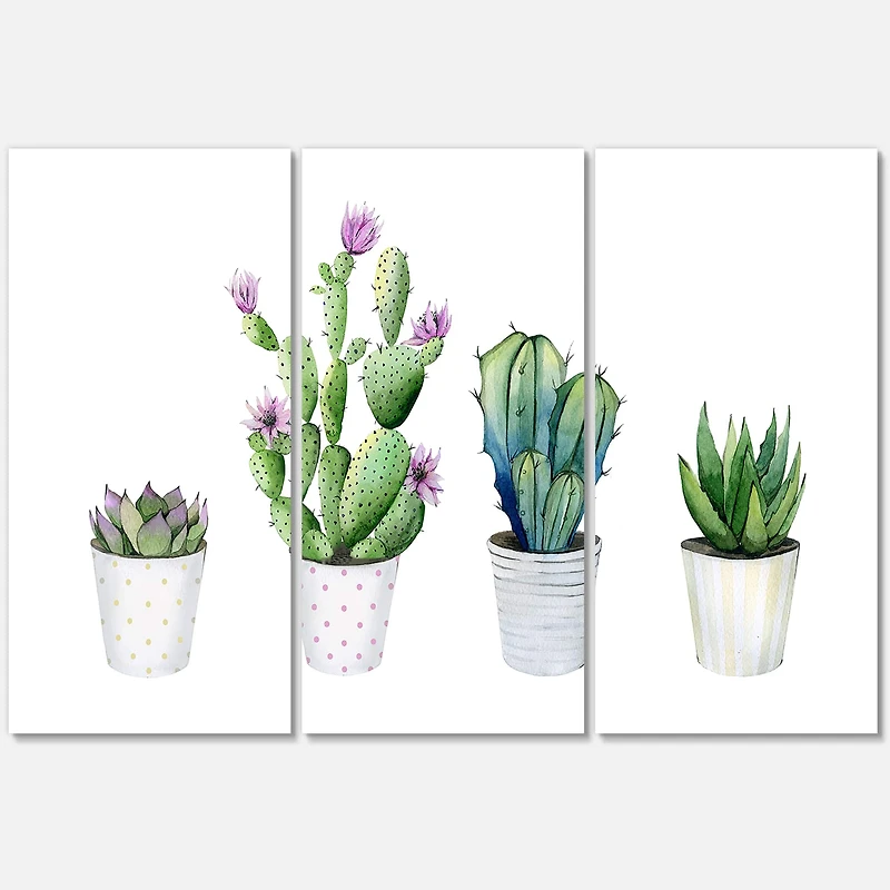 Designart - Cactus Succulent Aloe Vera Home Plants In The Pots