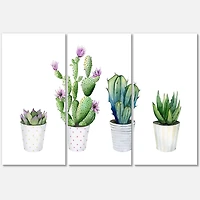 Designart - Cactus Succulent Aloe Vera Home Plants In The Pots