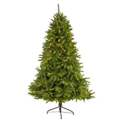6ft. Pre-Lit Sierra Spruce Artificial Christmas Tree, Clear LED Lights