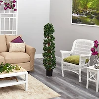 4.5ft. Potted English Ivy Spiral Topiary Tree