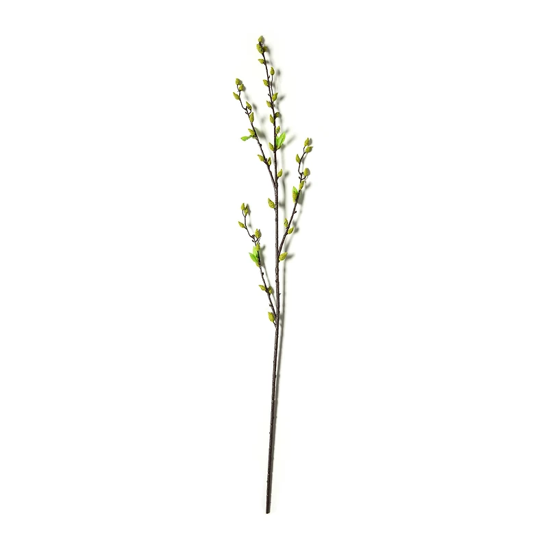 12 Pack: Green Willow Stem by Ashland®