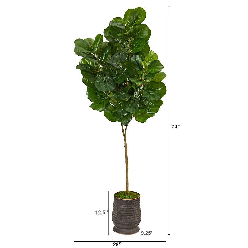 6ft. Fiddle Leaf Fig Tree in Ribbed Metal Planter