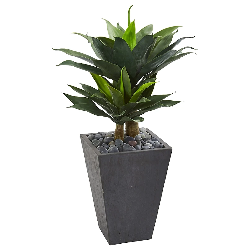 3ft. Double Agave Succulent Plant in Slate Planter
