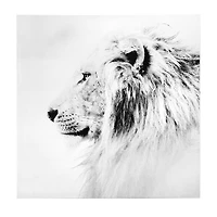 Regal Lion Black & White Glossy Wall Art