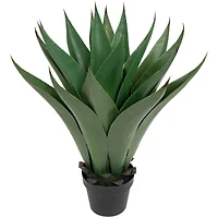 2ft. Potted Green Agave Americana Artificial Succulent Plant
