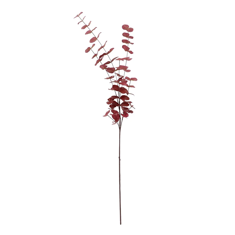 Tall Burgundy Eucalyptus Stem by Ashland®