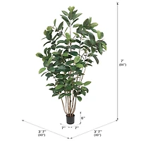 7ft. Potted Green Rubber Tree