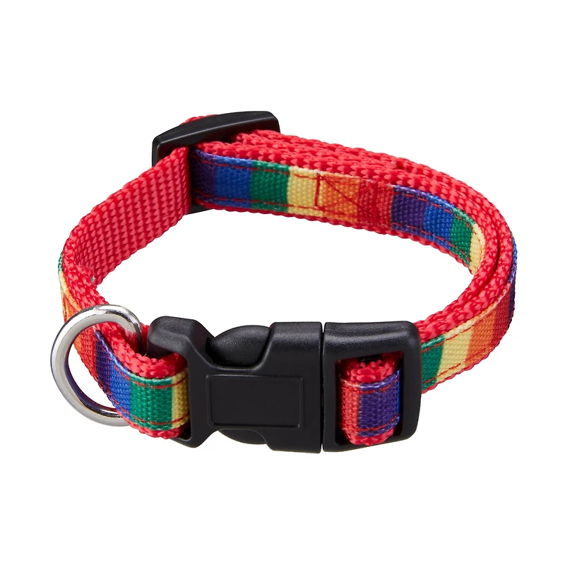 Best Furry Friends Pride Pet Collar