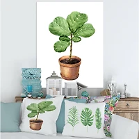 Designart - Ficus Lyre In Clay Flowerpot