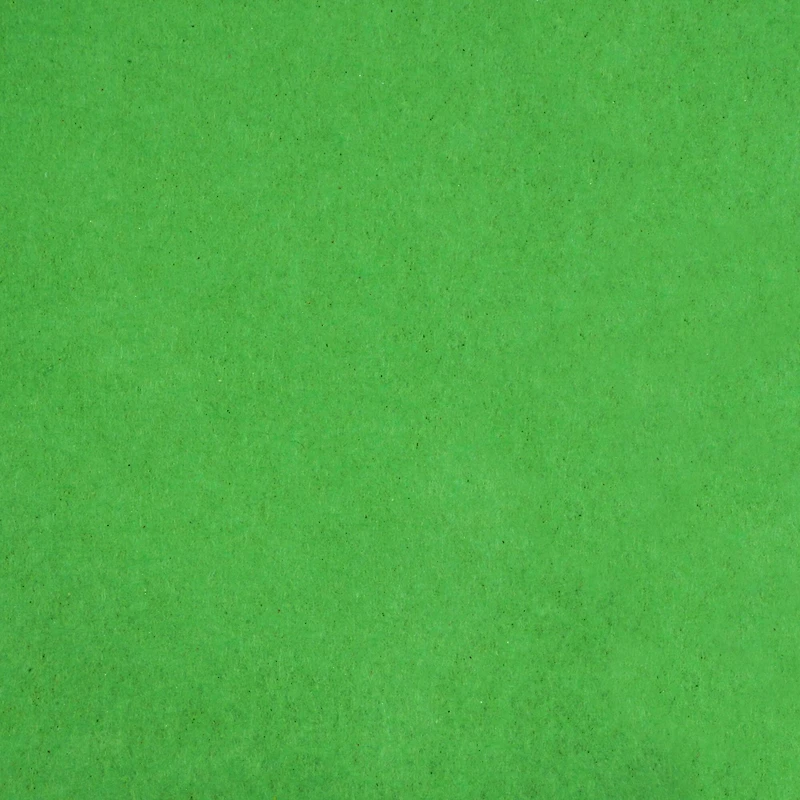 24 Packs: 12 ct. (288 total) Festive Green Tissue Paper by Celebrate It™