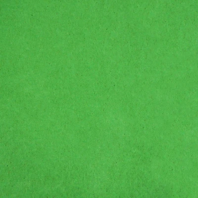 Festive Green Tissue Paper by Celebrate It™, 12 Sheets