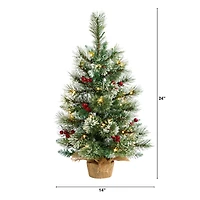 2ft. Pre-Lit Flocked Pine & Berry Artificial Christmas Tree in Burlap Base, Warm White LED Lights