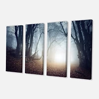 Designart - Magical Trees in Mysterious Forest