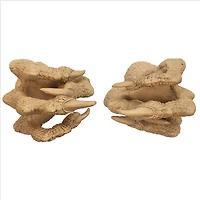 Design Toscano 7" Dragons Thorne MacGarvey Claw Sword Hanger Set