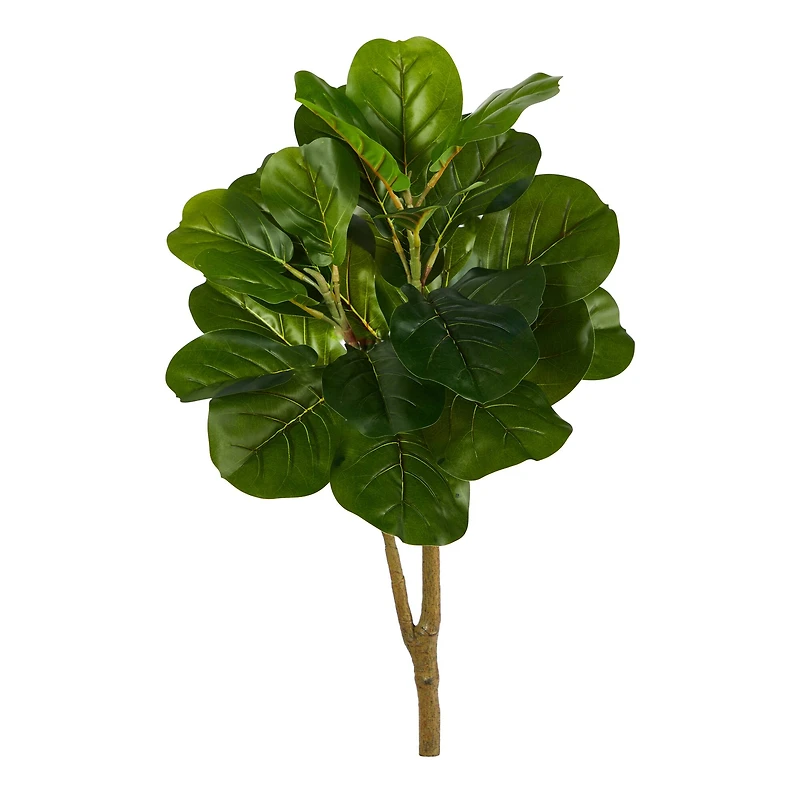 2.5ft. Fiddle Leaf Fig Tree