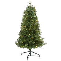4ft. Pre-Lit Vermont Fir Artificial Christmas Tree with Clear LED Lights