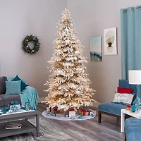 9ft. Pre-Lit Grand Northern Rocky Fir Artificial Christmas Tree, Warm LED Lights