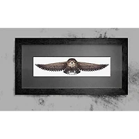 Luca-S The Owl Counted Cross Stitch Kit