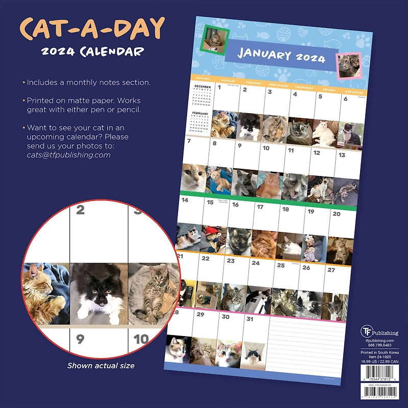 TF Publishing 2024 Cat-A-Day Wall Calendar