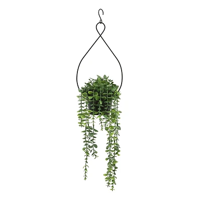 27" Dripping Eucalyptus Hanging Potted Plant by Ashland®