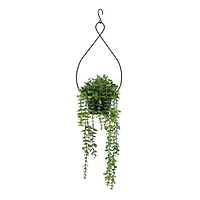 27" Dripping Eucalyptus Hanging Potted Plant by Ashland®